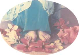 Lotus Feet of The Mother