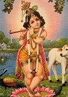 sri krishna