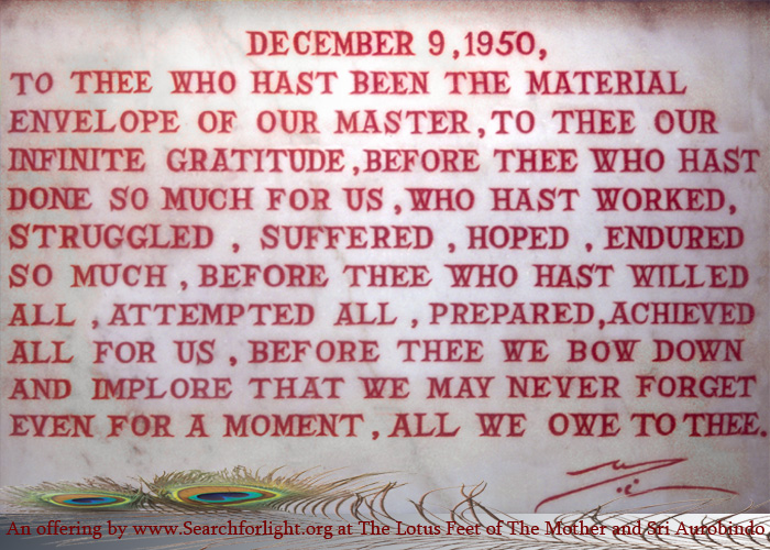 Image 12 description