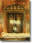 Sri Aurobindo on Consciousness