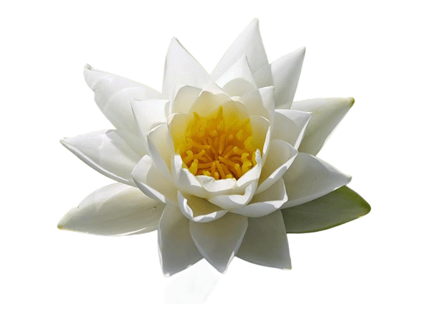 The Mother by Sri Aurobindo