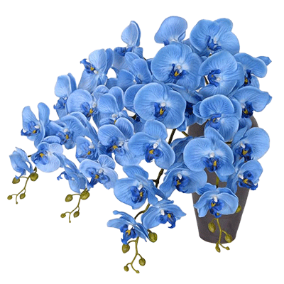 The Mother by Sri Aurobindo