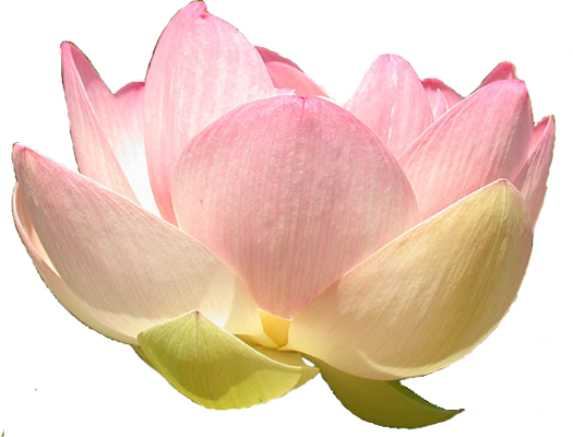 The Mother by Sri Aurobindo